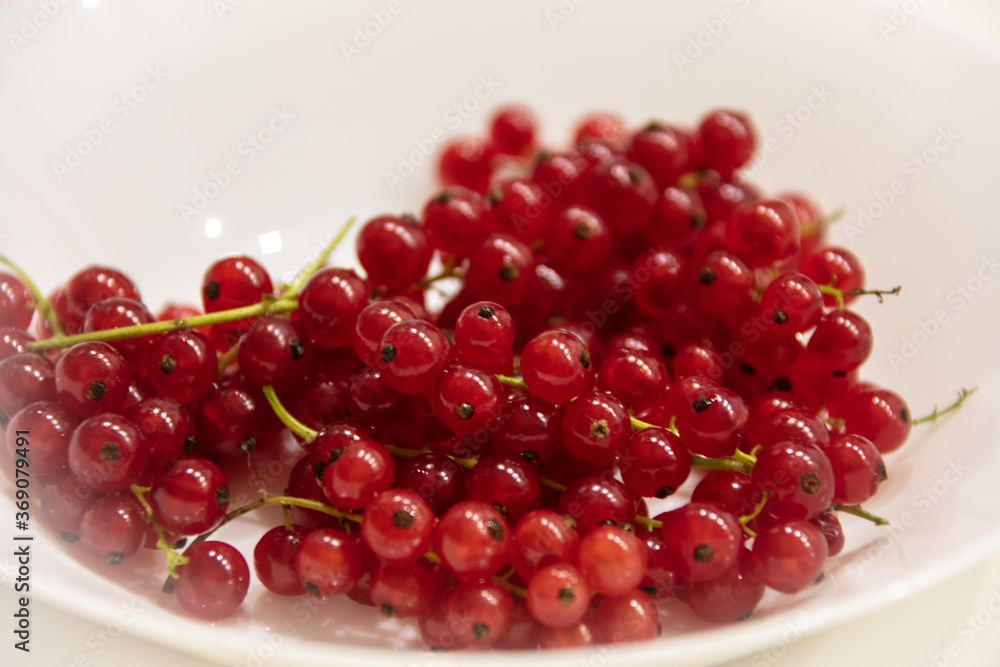 red currants on the white plate