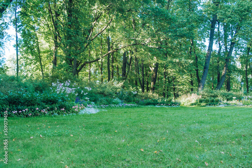 Plantings in the Park for walking