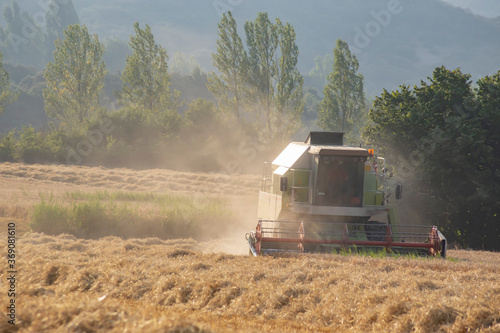 Harvesting machine in a wheat field © Panpiki