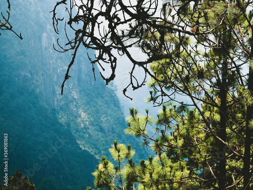 BARRANCA DEL JAMAPA, VERACRUZ photo