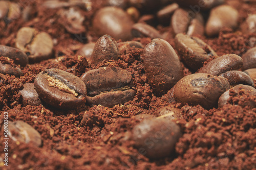 Macro photo of roasted coffee beans