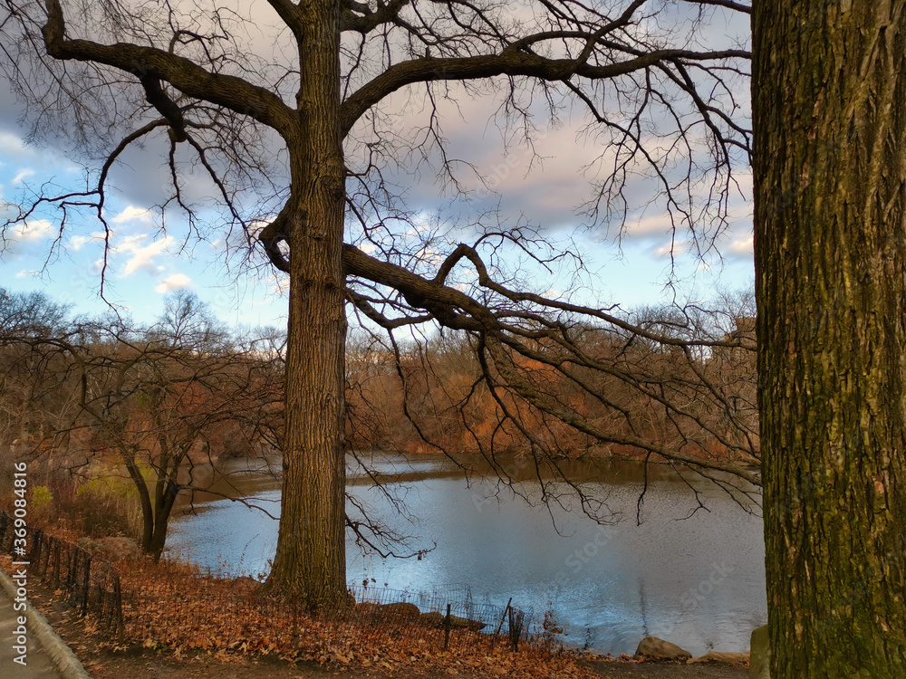 The central park, New York city daylight view with lake, clouds and trees The central park, New York city daylight view with lake, clouds and trees