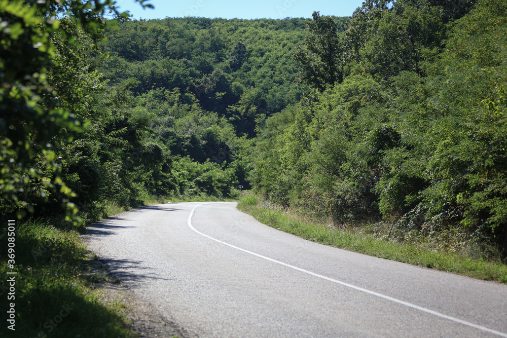 road in the mountains surrounded by green bushes and trees