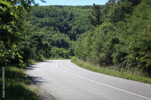 Obraz na płótnie road in the mountains surrounded by green bushes and trees w salonie