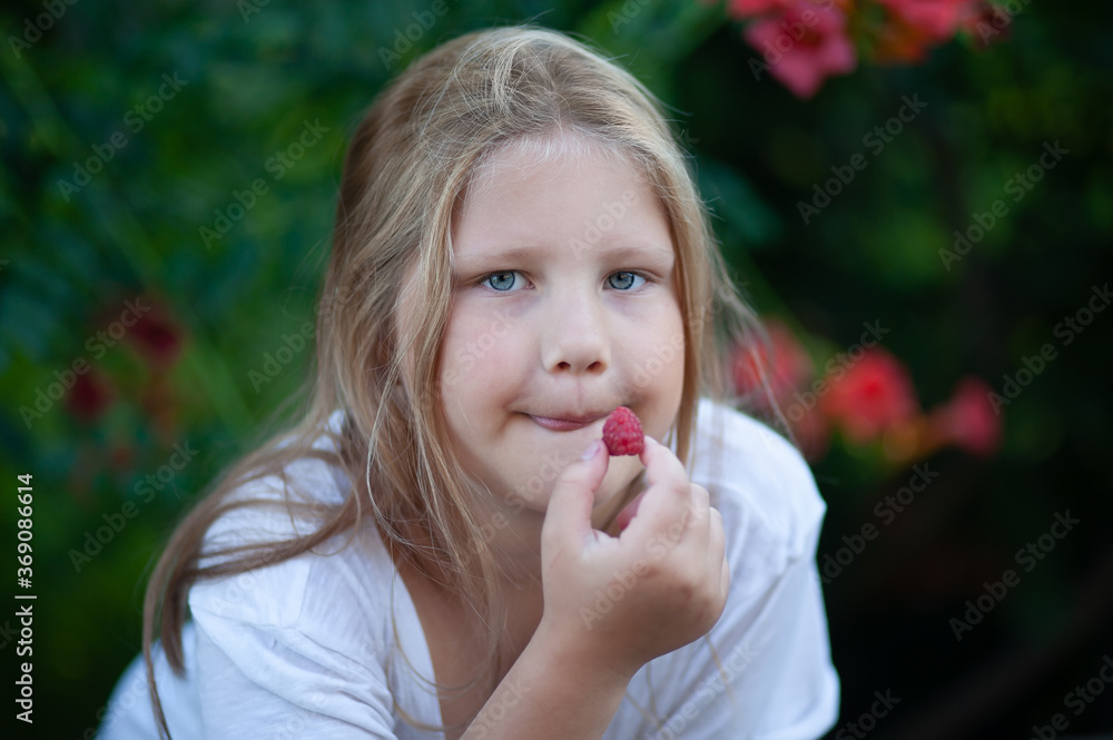 A child blonde girl with blue eyes in a white T-shirt holds raspberry in her fingers
and is going to eat a berry, lick it . Delicious and vitamin food. Healthy eating concept A child blonde girl with blue eyes in a white T-shirt holds raspberry in her fingers
and is going to eat a berry, lick it . Delicious and vitamin food. Healthy eating concept