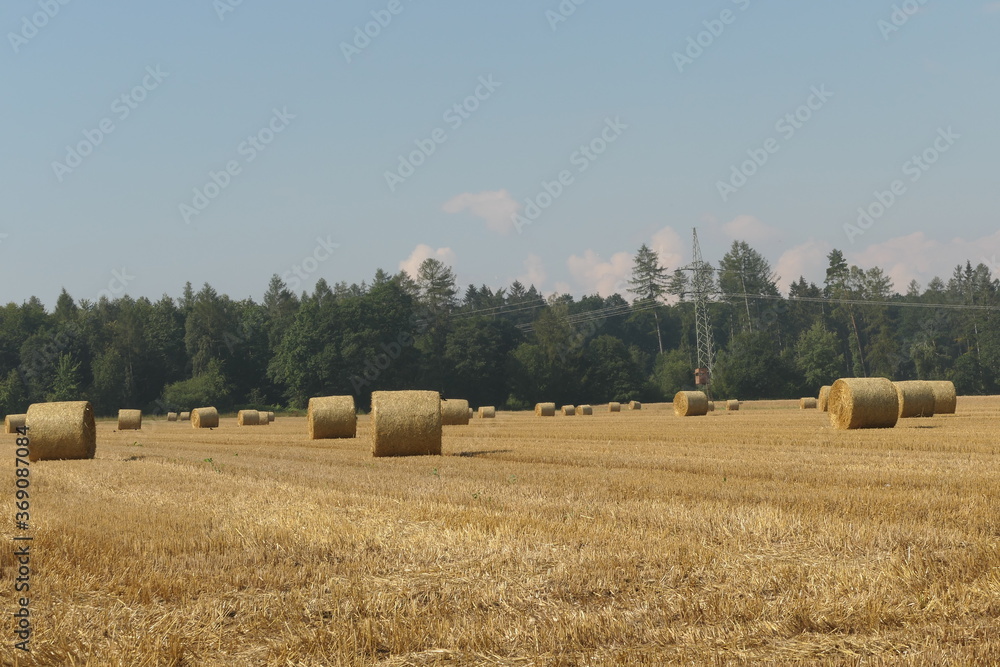 Fototapeta premium Ernte der Strohballen aus Heu und Stroh in einer Landschaft