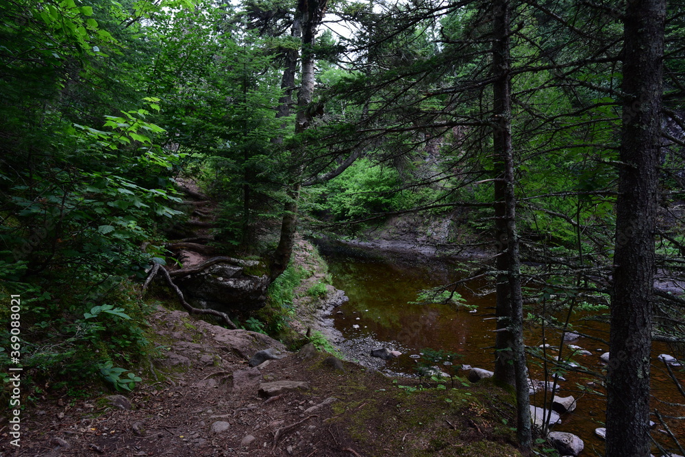 Fototapeta premium Cascade River Falls State Park