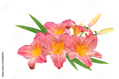 bouquet of lily flowers isolated on white