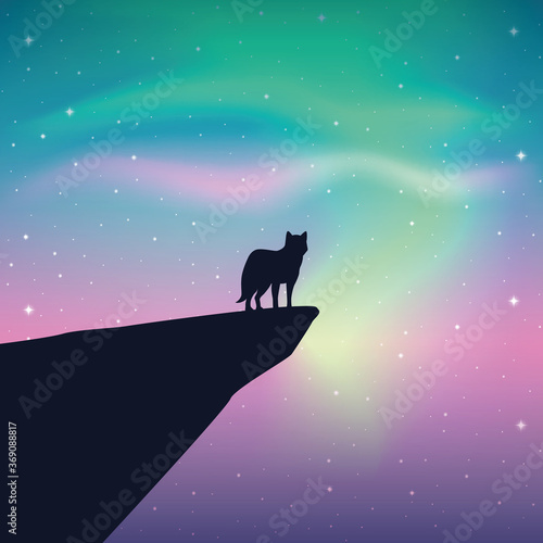 wildlife wolf looks in the colorful starry sky with aurora borealis vector illustration EPS10
