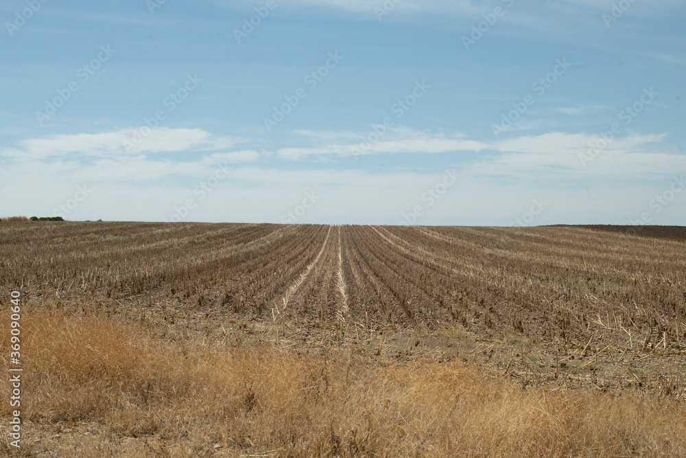 Paisaje de un horizonte 