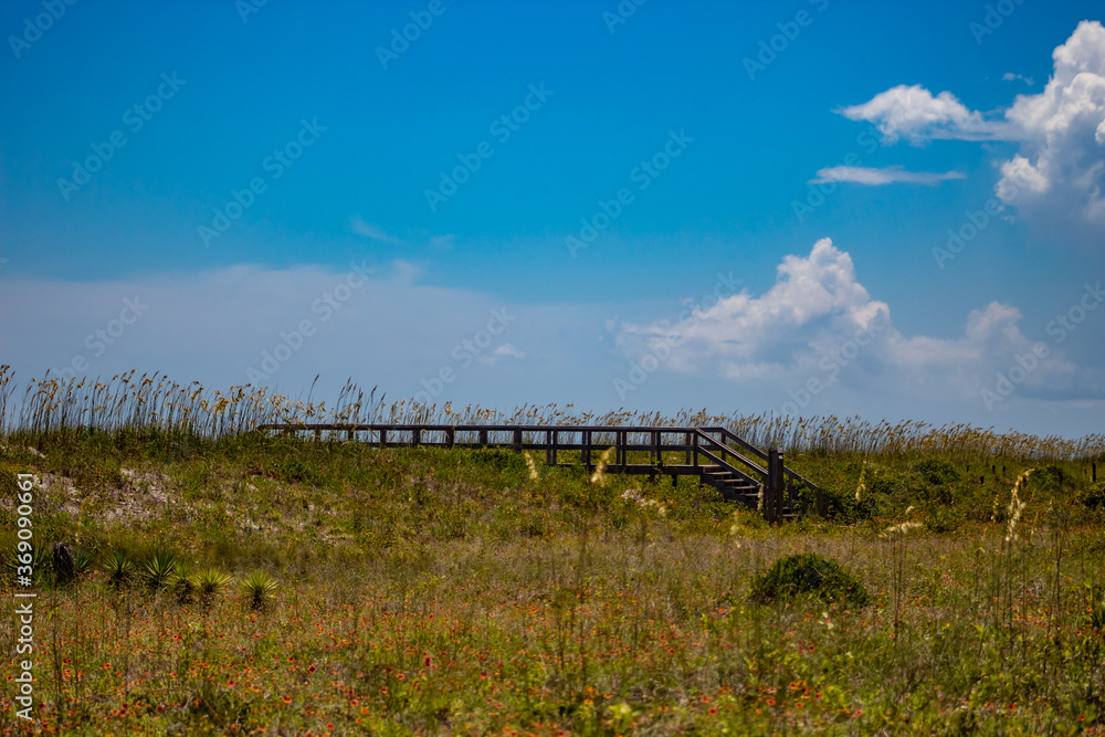 Beach landscape with wooden walkway