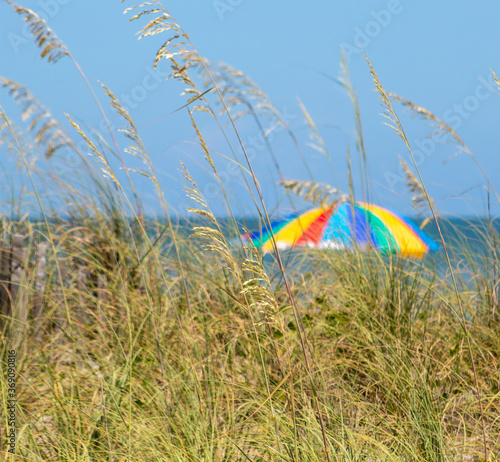 Sea Oats with Umbrellas