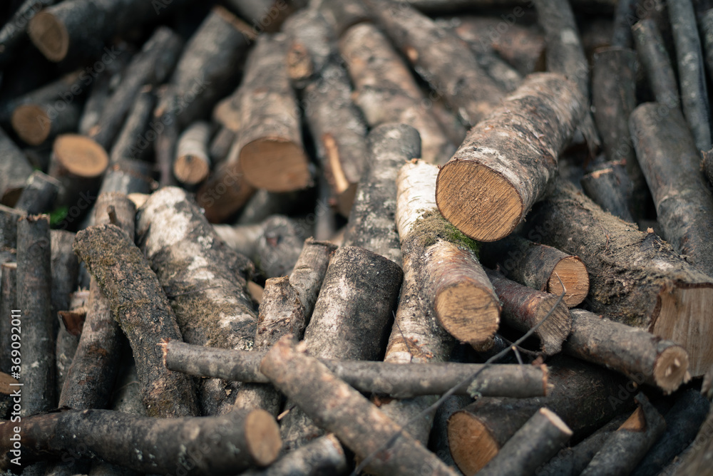 Lumber mill industry in Galicia. Fireplace burnable needs. Northern