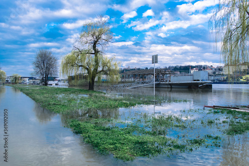 Sava and Danube annual flood season