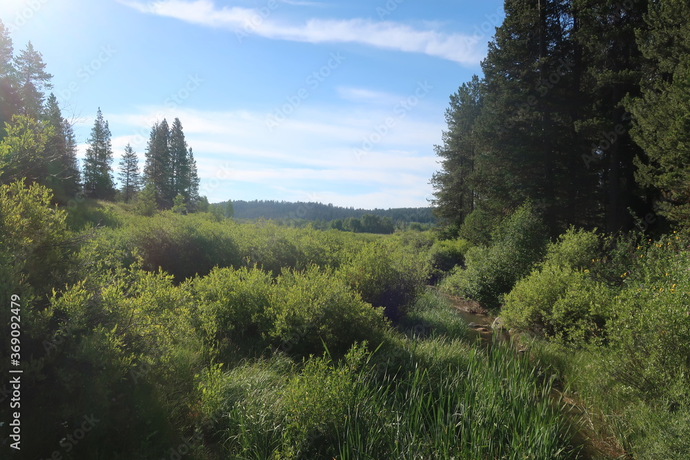 Nature and environment in the Tetons, Wyoming