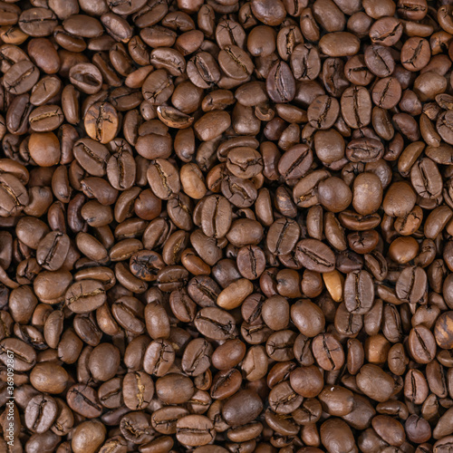 Grains of coffee. Photo for the background on the theme of coffee.