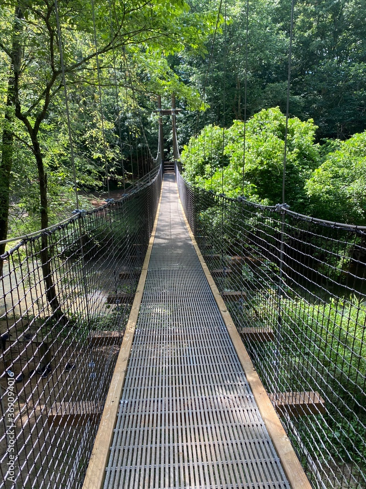 Obraz premium most w przyrodzie