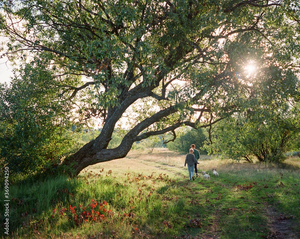 Stylish couple walking with dogs near a big tree Stylish couple walking with dogs near a big tree