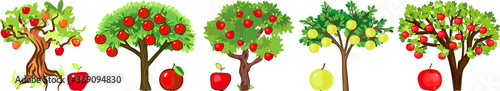 Set of different apple trees with ripe fruits isolated on white background