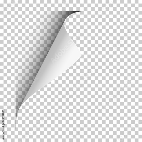 Vector page with upper left curl with shadow on blank transparent sheet of paper