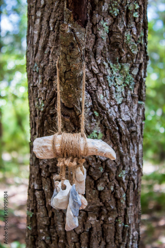 Tree with shell ornament