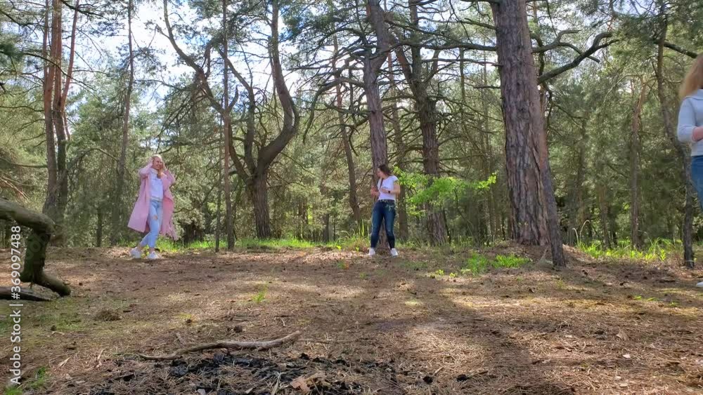 Group of friends play flying disc in a beautiful pine forest, leisure, outdoor activities Group of friends play flying disc in a beautiful pine forest, leisure, outdoor activities