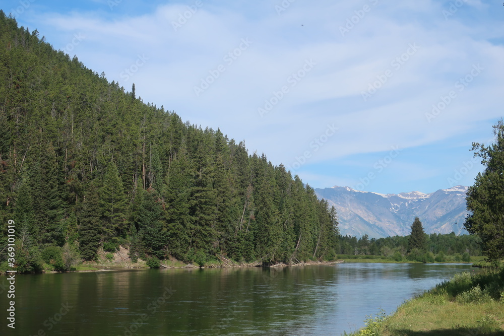 Slow moving, wide river surrounded by trees