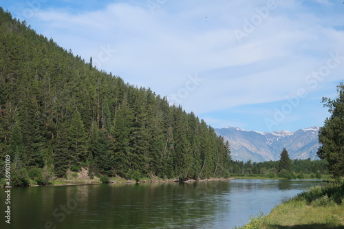 Fototapeta Naklejka Na Ścianę i Meble -  Slow moving, wide river surrounded by trees