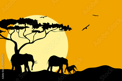 Family of elephants in Africa. Black silhouette on the background of sunset. Wildlife protection concept. © EllSan