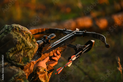 Adult man hunting with a recurved crossbow in the forest on an autumn day. photo