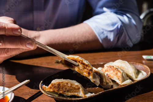 Japanese gyoza