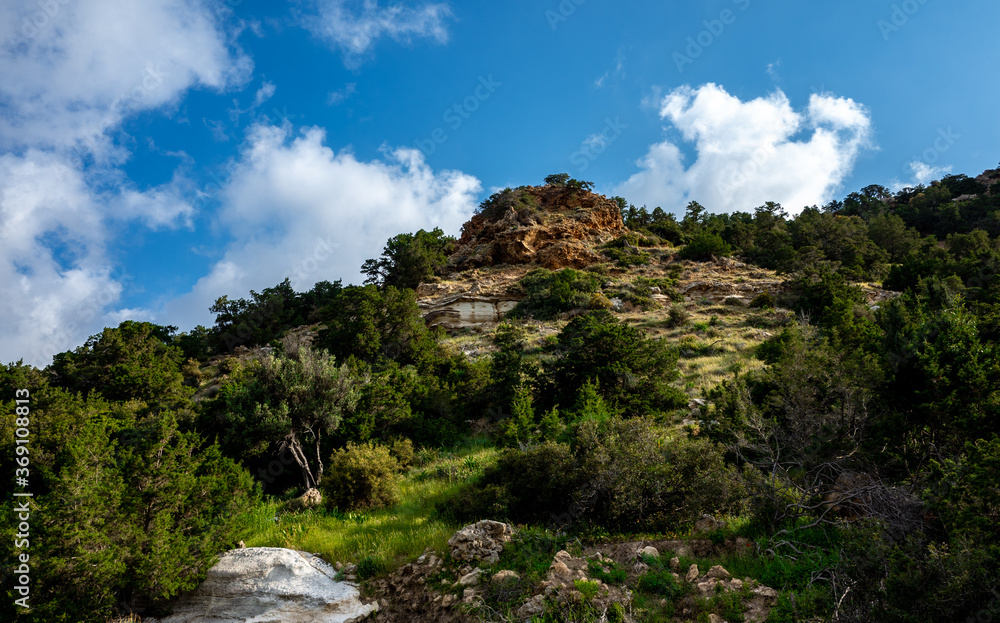 Cedar-covered hills on the Mediterranean coast on the island of Cyprus.