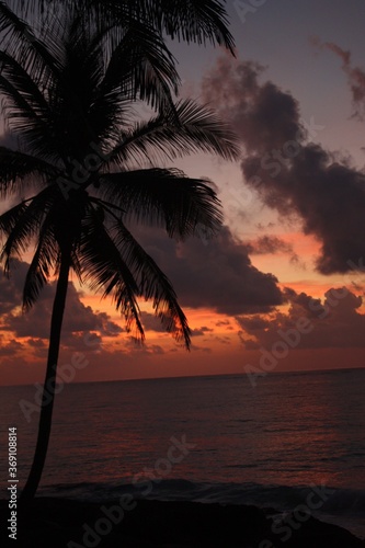 Precious sunset violet, orange and pink with tropical palm tree, above the sea. bay of Tulum, cancun, playa del carmen, riviera maya, Yucatan, Quintana roo, Mexico.