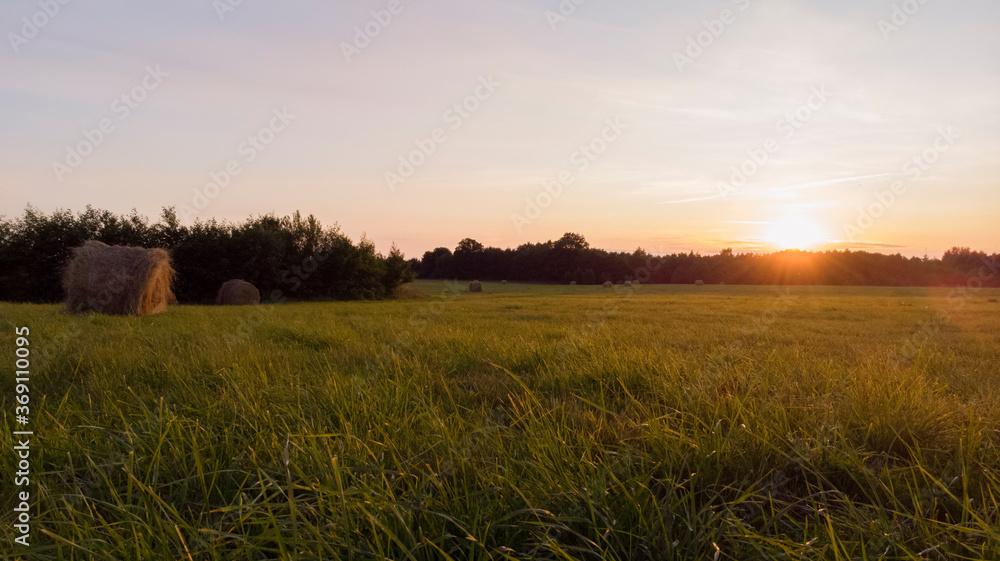 Dry haystacks in grass field in sunset light Dry haystacks in grass field in sunset light