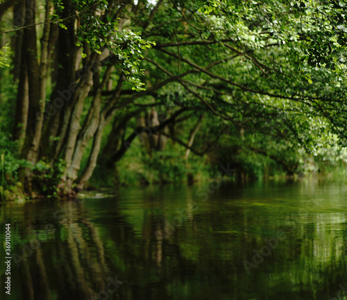 river Pilawa