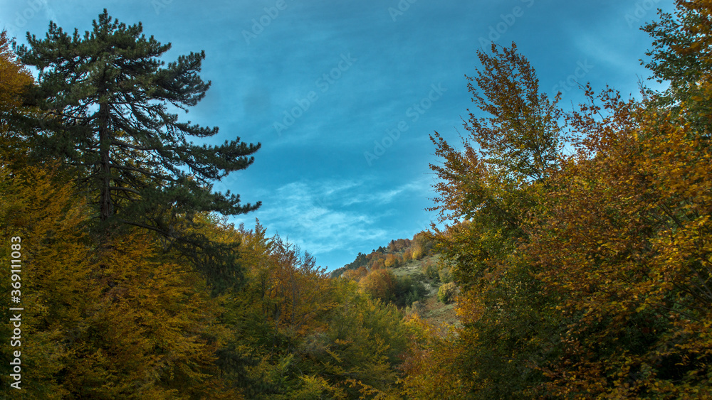 Yedigoller National Park (untouched nature) in Bolu Turkey Yedigoller National Park (untouched nature) in Bolu Turkey