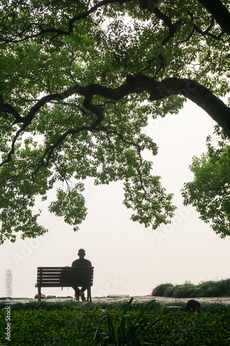 A man sits on a bench on the grass under a tree