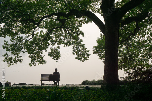 A man sits on a bench on the grass under a tree