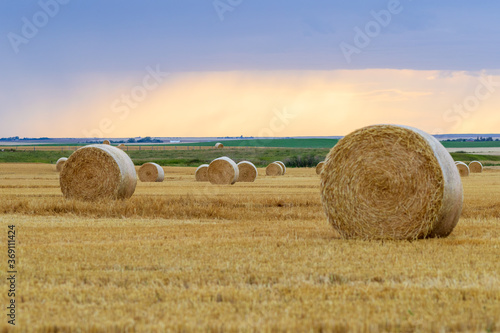 straw bales
