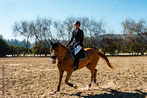 Young horse rider riding the trot thoroughbred horse on field