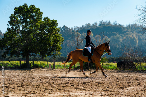 Young horse rider training thoroughbred horse on field photo