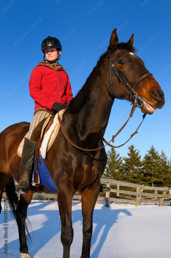 Young female horseback rider in red jacket on a horse chomping at the bit in a winter field against a blue sky Young female horseback rider in red jacket on a horse chomping at the bit in a winter field against a blue sky