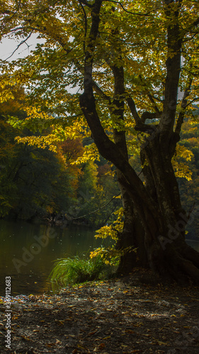 Yedigoller National Park  untouched nature  in Bolu Turkey