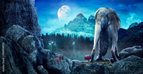 Ein Wolf von hinten blickt in Richtung Bergmassiv der Dolomiten im Mondlicht  photo