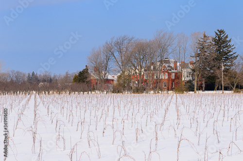 Harbour Estates Winery with new vines and orchard in Niagara Peninsula in winter photo
