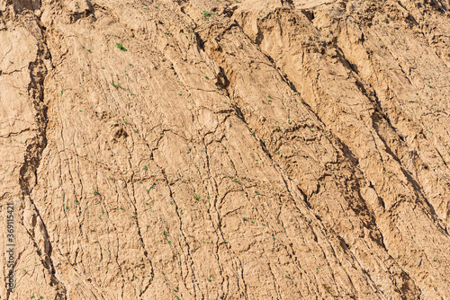 Detail Of Dry Ground On The Desert - Texture / Pattern