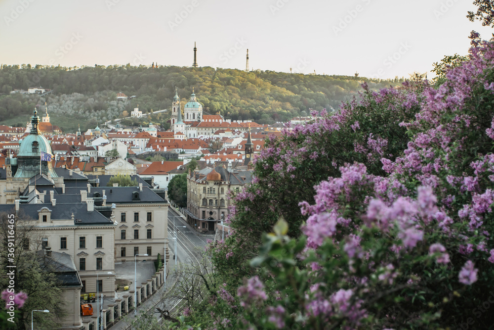 Amazing spring cityscape.View of old city center with blooming lilac and sunlight in Prague,Czechia.Prague panorama.Beautiful spring landscape of the historical capital of Czechia.Selective focus