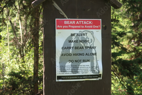 Bear attack warning sign