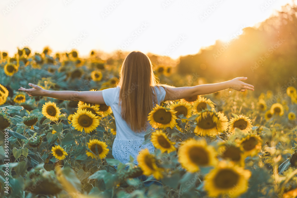Young beautiful woman having fun in a sunflower field on a beautiful summer day. View from behind. - obrazy, fototapety, plakaty 