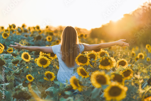 Young beautiful woman having fun in a sunflower field on a beautiful summer day. View from behind.